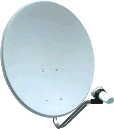 Dish